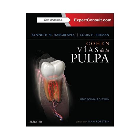 Cohen v as de la pulpa expertconsult acceso web spanish edition. - The american vision modern times active reading and note taking guide.