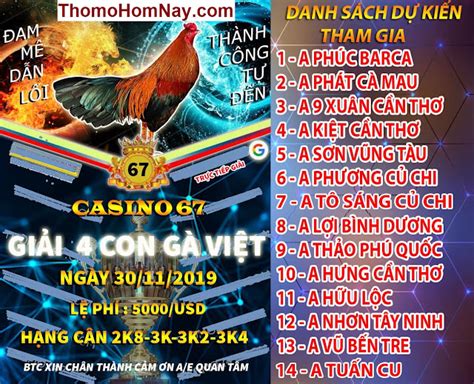 Coi Đá Gà Casino 67: Giải Trí Thú Vị và Kiếm Tiền Hấp Dẫn