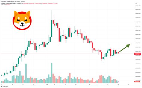 Shiba Inu coin: Value and market cap explained The value of Shiba Inu today (10th May 2021) has been fluctuating between a 24 hour low of $0.00001260 and a high of $0.00003137, at the time of writing.. 