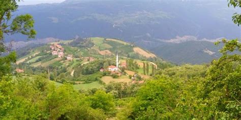 Cokekli Halı ve Koltuk Yıkama