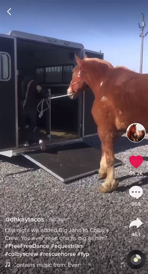 Colby crew rescue. Help Colby’s Crew rescue save as many horses as they can! They’re live on tik tok right now at the pen doing live fundraising! comments sorted by Best Top New Controversial Q&A Add a Comment [deleted] • Additional comment actions ... 