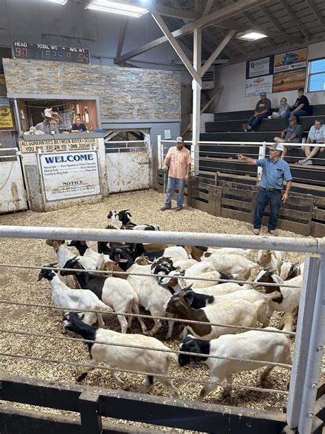 Colby livestock auction. Feb 8, 2023 · Colby Livestock Auction Company, Colby, Kansas. 352 likes · 33 talking about this. Join us for weekly hog, cattle, horse, sheep and goat sales each Thursday starting at 11:00am CST. Colby Livestock Auction Company 