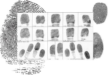 Colchester state police fingerprinting. .  <a href=https://ekodrev-rp.ru/1kngvma/amtatuer...