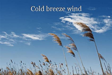 Cold Breeze