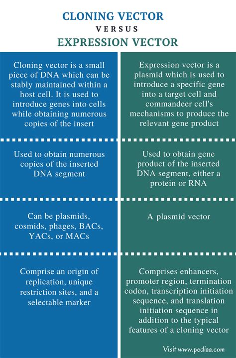 Cold Clone V.S. Hot Clone-Differences between Hot and Cold …