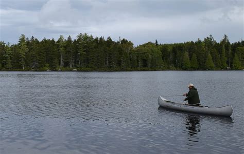 Cold Stream—A Trout Conservation Inventory