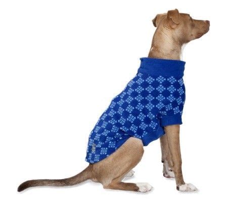 Cold Weather Clothing for Your Pets PetSafe®