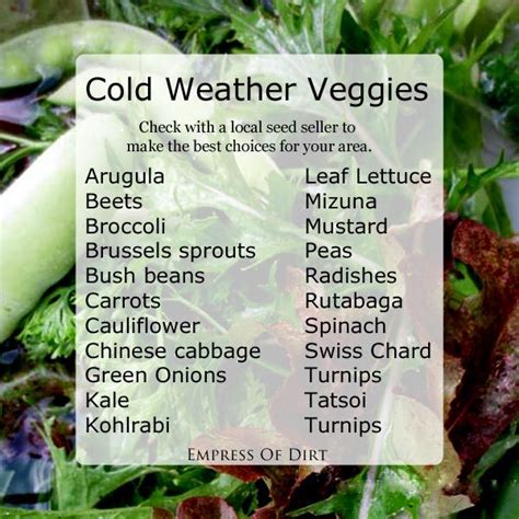 Cold Weather Crops - Which Vegetables to Grow in Cool Seasons …