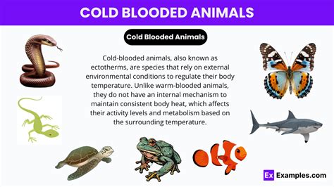 Cold blooded examples.  Ectotherm, any animal whose regulation of body temperature depend...