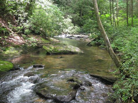 Coleman River Scenic Area-CNF - Explore Georgia.org