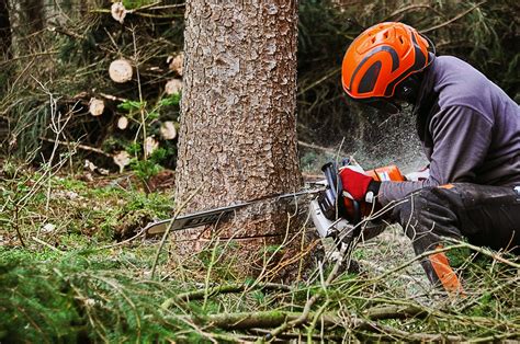 Coleman Tree Cutting & Tree Removal Service