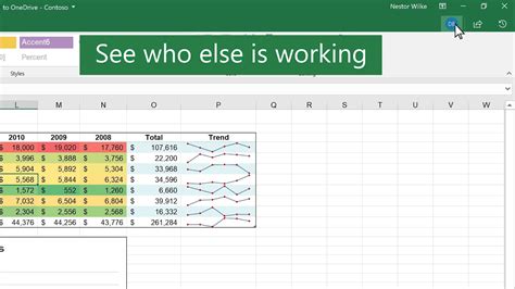 Collaborate on Excel workbooks at ... - support.microsoft.com