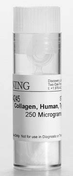 Collagen A Sigma-Aldrich