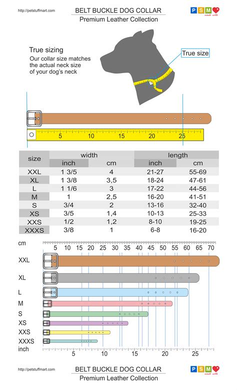 Collar Size Chart For Dogs