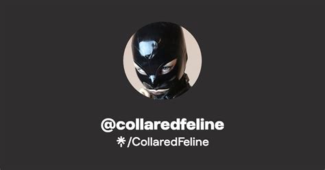 💦 Collaredfeline Leaked [SEX VIDEO] 57 Pics