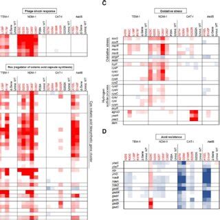 Collateral fitness effects of mutations PNAS