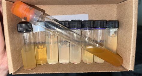 Collecting 9 Cum Shots in a Row