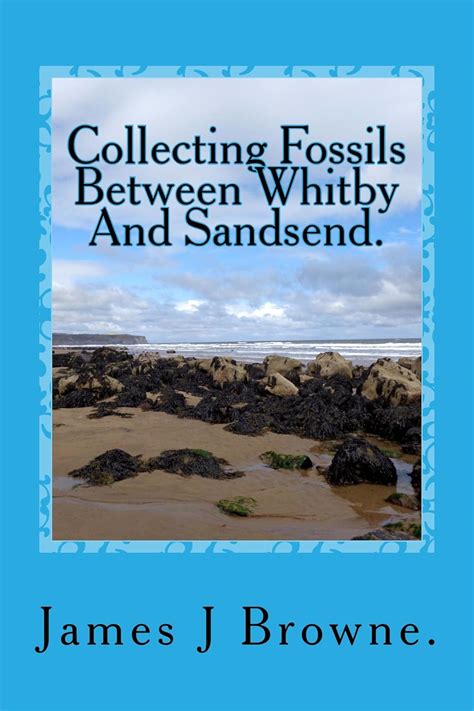 Collecting Fossils Between Whitby And Sandsend A Beginners Guide