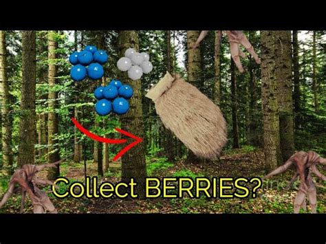 Collecting berries? :: The Forest General Discussions - Steam …