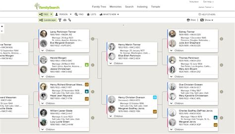 Collection: FamilySearch Family Tree