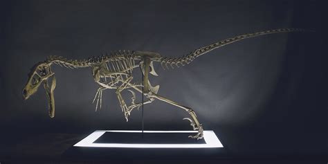Collection • Best STL files of dinosaurs to make with a 3D printer