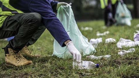 Collection Garbage & Recycling Pinellas County