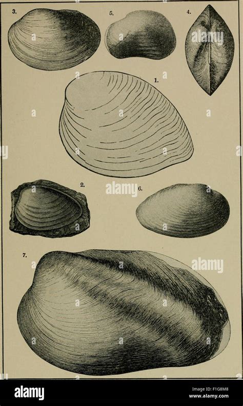 Collections Historical And Miscellaneous