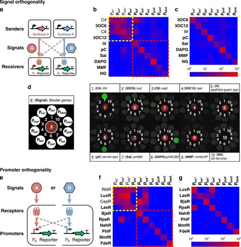 Collectives and Communicators: A Case for Orthogonality