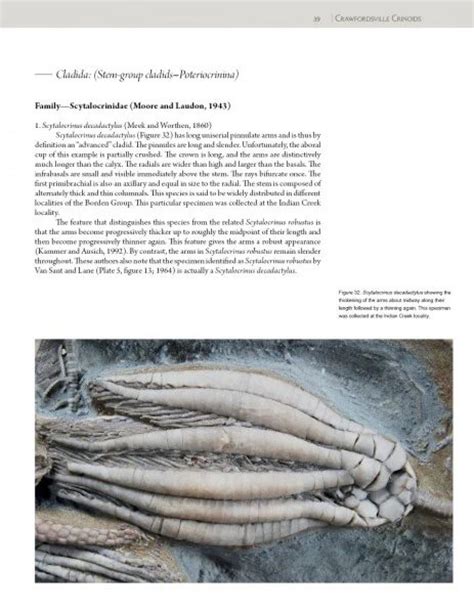 Collector s guide to crawfordsville crinoids. - What color is your parachute guide to rethinking interviews ace the interview and land your dream job.