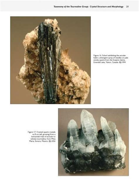 Collector s guide to the tourmaline group schiffer earth science. - Can i tell you about selective mutism a guide for friends family and professionals.