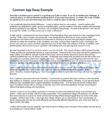 College Essay Examples Common App The Common App Essay Example for