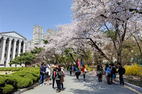 The three largest world-recognised universities include Seoul Nationa
