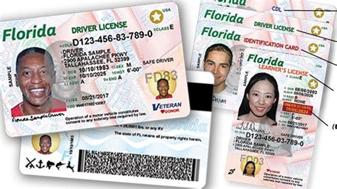 Drivers License & ID Cards. . Driver 