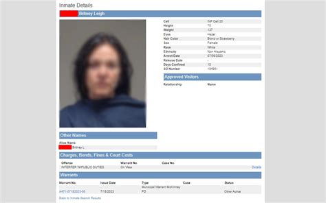 Collin county inmate search mugshots.  View recent arrests, mugshots, c...