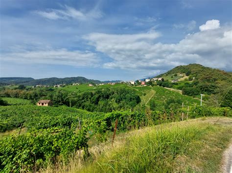 Colline