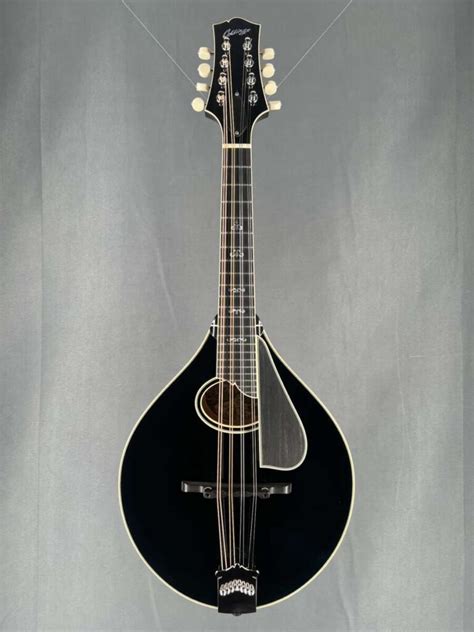 Collings mandolins.  Although this mandolin is modestly appointed it has the...