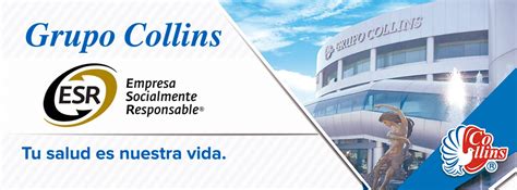 Collins Collins Linkedin Curitiba