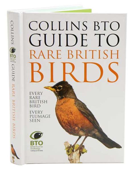 Collins bto guide to rare british birds by paul sterry. - Answers to study guide questions for lord of the flies.
