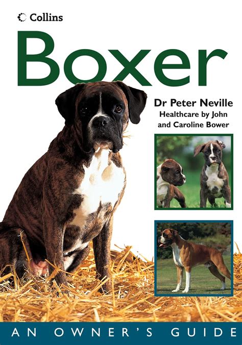 Collins dog owners guide boxer collins dog owners guides by neville dr peter 2005 paperback. - Amd embedded solutions guide global provider of.
