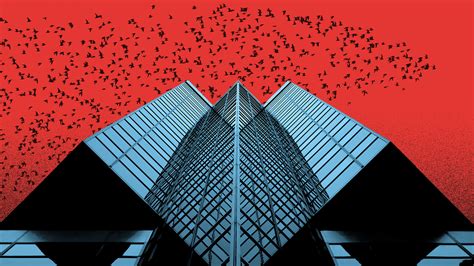 Collisions with buildings are killing millions of birds nationwide. A dark-sky movement to save them is sweeping the Bay Area.