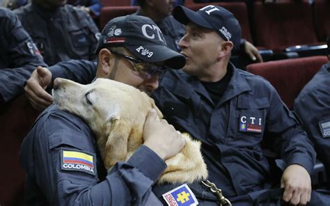 Colombia honors searchers and sniffer dog that helped find 4 children who survived plane crash