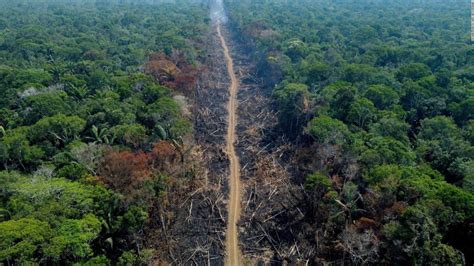 Colombia se suma a esfuerzos para proteger el 80% de la Amazonia al 2025