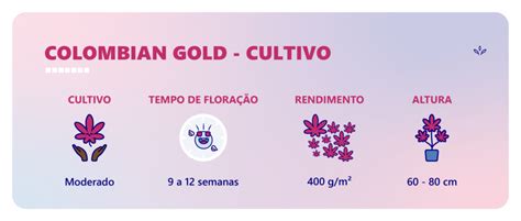 Colombinha Onlyfans Leaked (SEX) 🔥 57 Vids