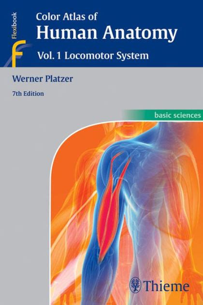 Color atlas and textbook of human anatomy locomotor system by werner platzer. - Managerial accounting 5th edition solutions manual jamesjiambalvvo.
