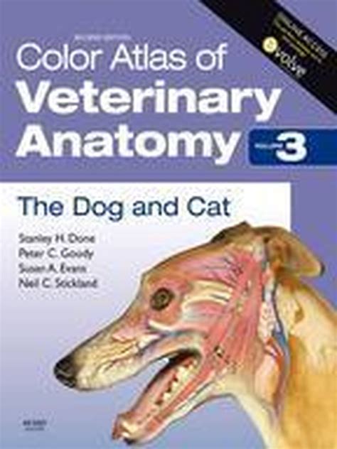Color atlas of clinical anatomy of the dog and cat softcover version. - Sistema estético de camilo josé cela.