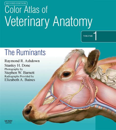 Color atlas of veterinary anatomy volume 1 the ruminants 2e. - Franse-stijlinterieurs in de 18de eeuw en het empire in kortrijk.