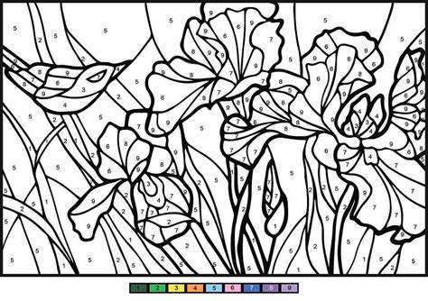 Color by Number Worksheets Advanced Color by Number Irises Color by