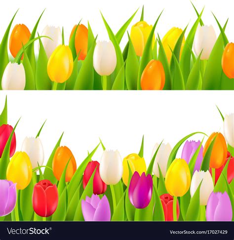 Color flowers patterns set Royalty Free Vector Image