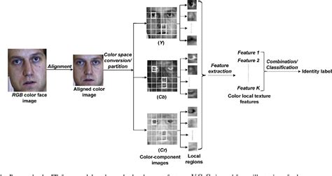 Color local texture features for color face recognition - PubMed