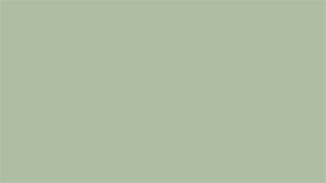 Color sage PowerPoint Template Color sage PowerPoint Background